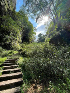 Sourcing inespéré dans les Monts WuYi