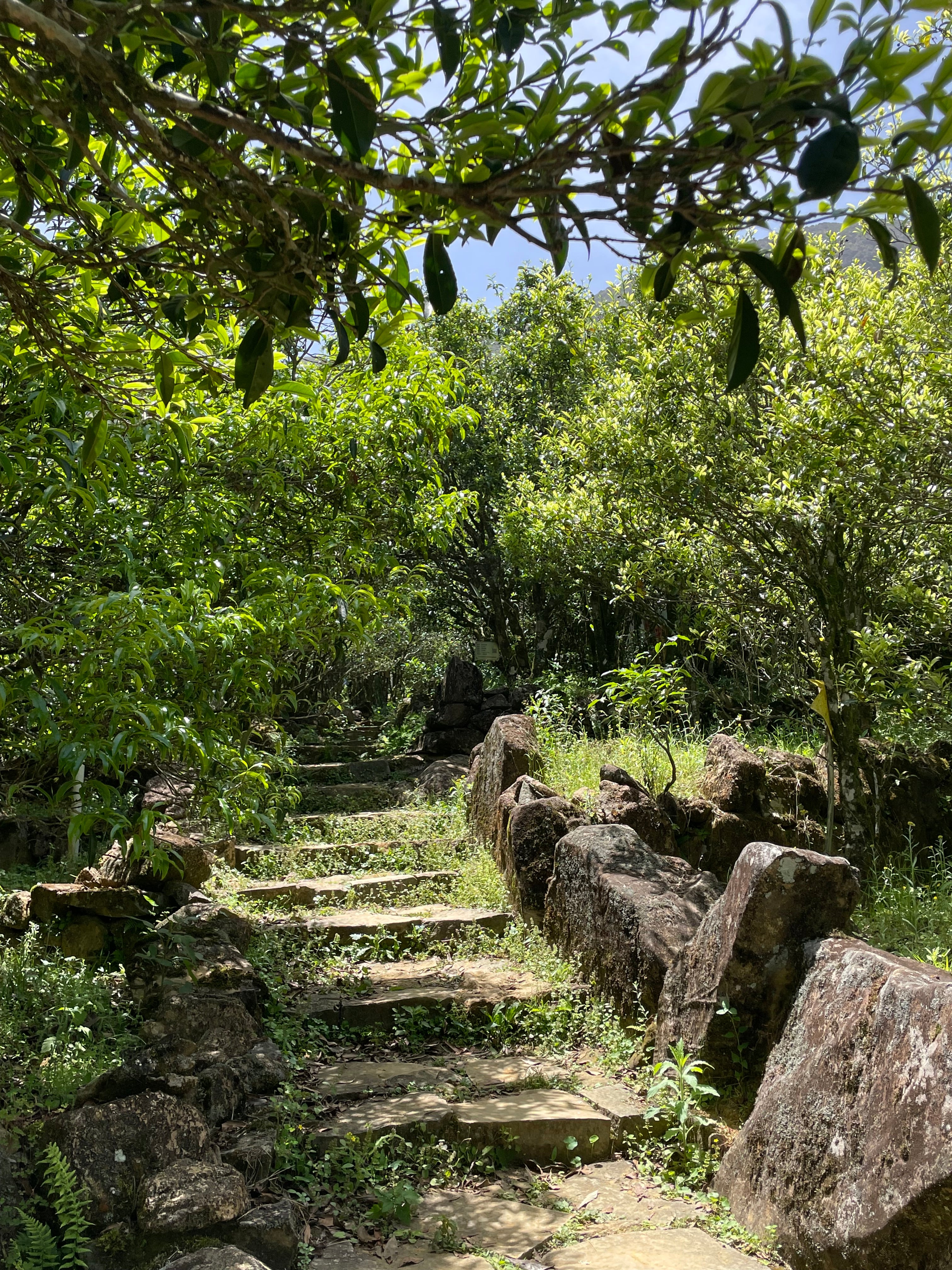 Ju Duo Zai de Da'An