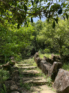 Ju Duo Zai de Da'An