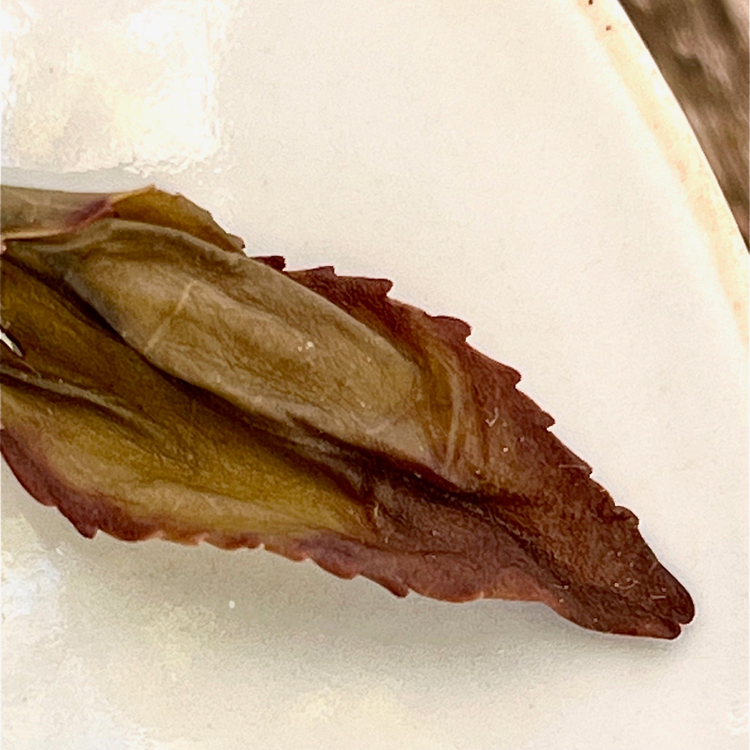 Ju Duo Zai de Da'An