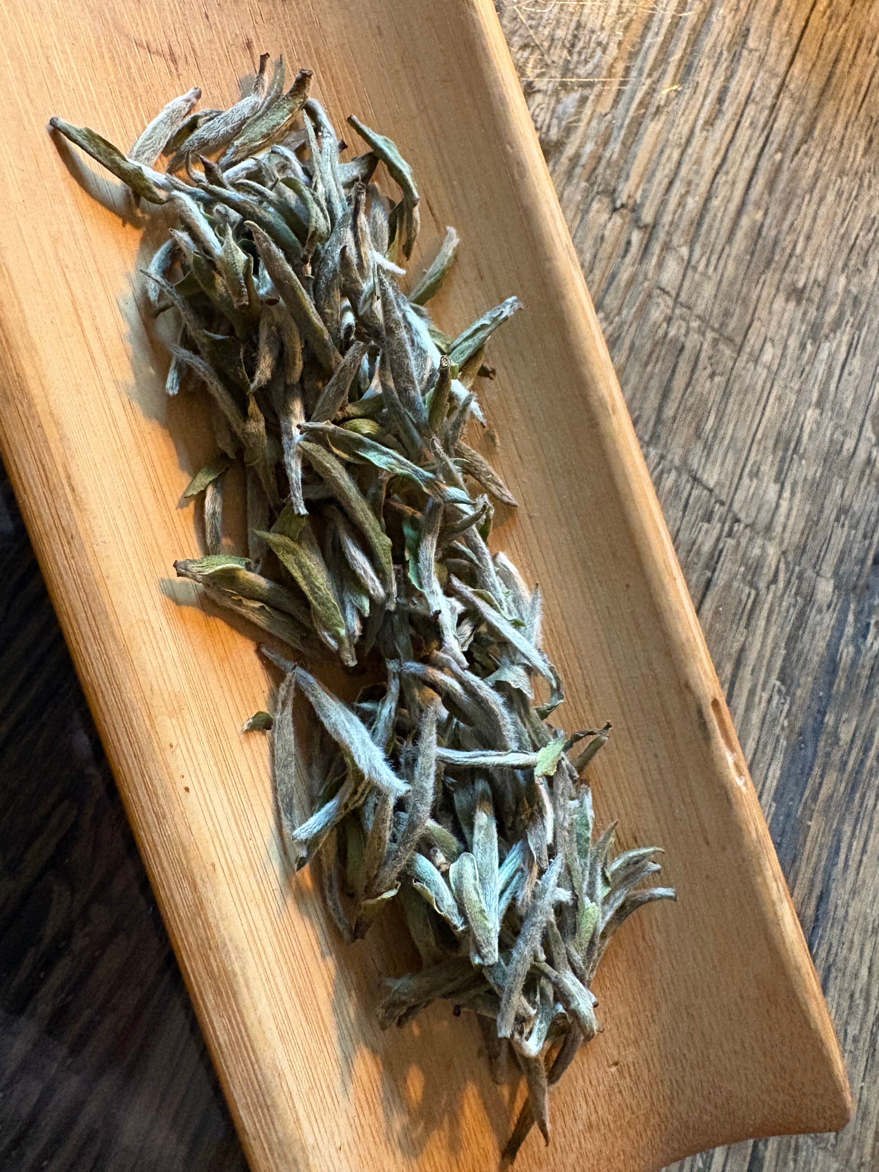 Yin Zhen de Fuding 2025