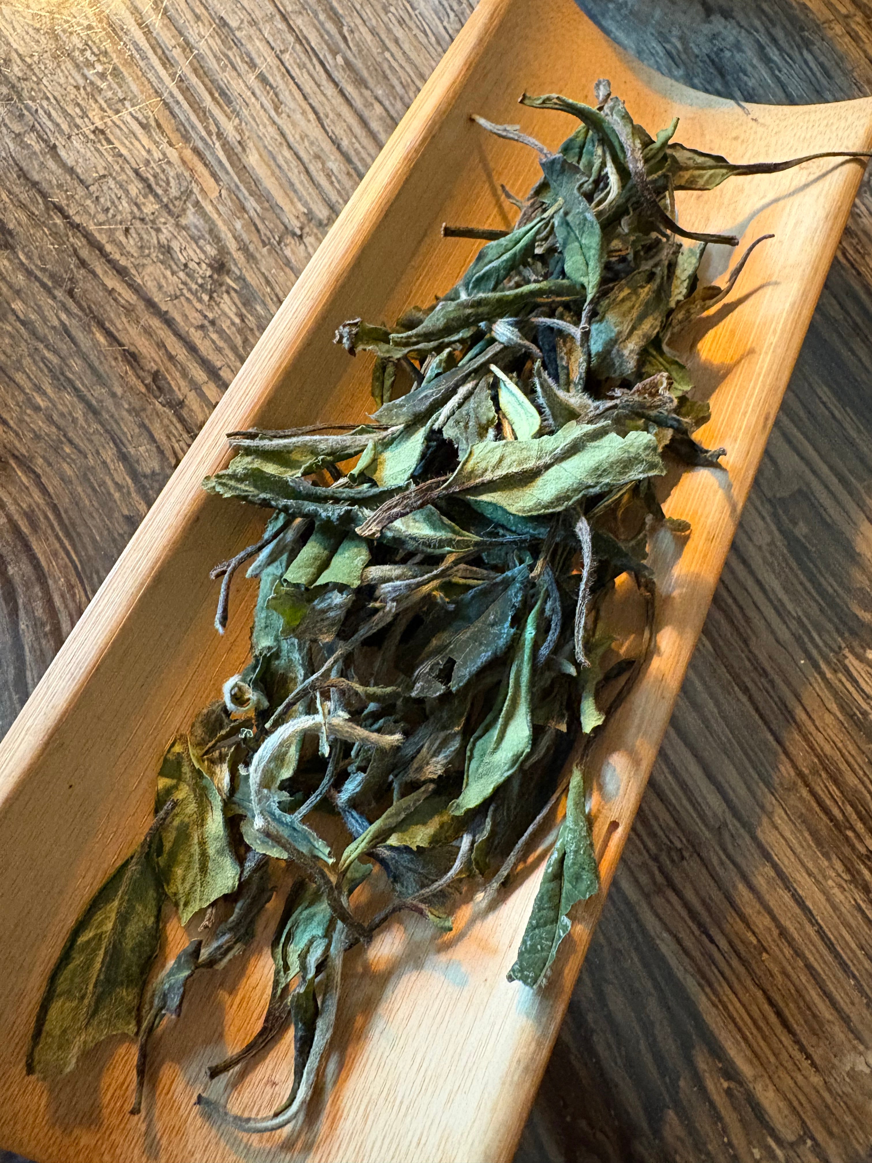 Shou Mei de Fuding 2025